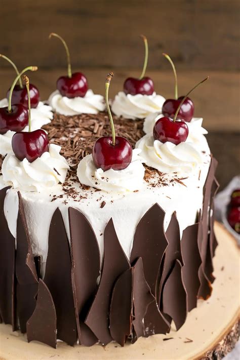 black forest cake with fresh cherries