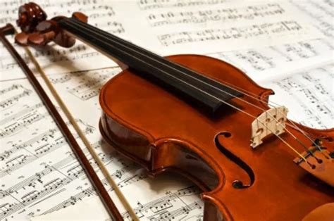 Fiddle or violin? Let's talk about the difference - Violinio