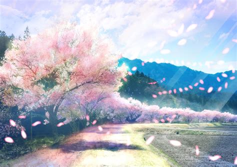 Row of cherry blossom trees by kokonoeyume on DeviantArt