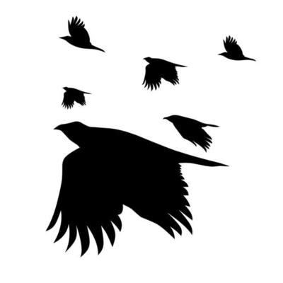 Flock Of Crows Vector Art, Icons, and Graphics for Free Download