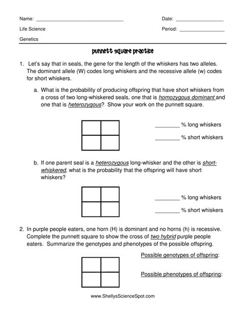 Punnett Square practice