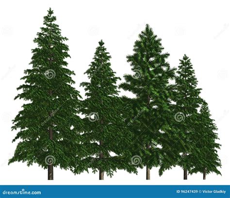 Group of Trees Isolated on White 3d Illustration Stock Illustration - Illustration of garden ...