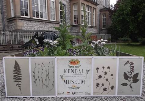 Kendal Museum launches new website following pioneering digitisation project for rare collection ...