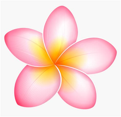 Tropical Flowers Clipart | Best Flower Site