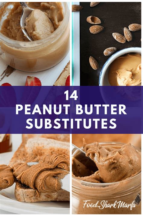 The 14 Peanut Butter Substitutes You Must Try - Food Shark Marfa