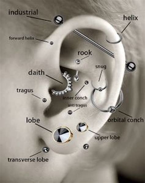 Ear Piercing Pain Diagram