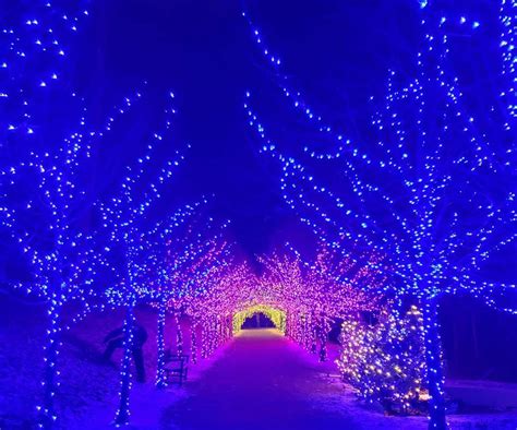 20 Spots Where You Can See Dazzling Holiday Lights In Boston