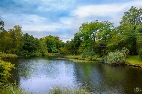 Beautiful Pond Background - High-quality Free Backgrounds