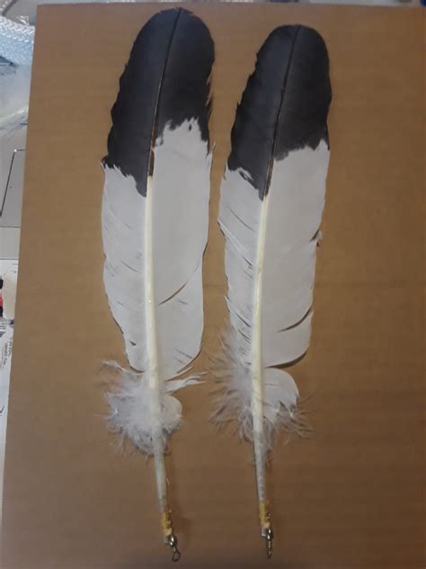 Sample Imitation Eagle Feathers Gallery – Two Eagles Legacy