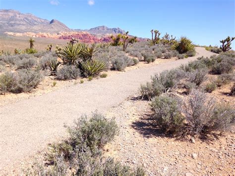 Red Rock Canyon Overlook Trail, Nevada