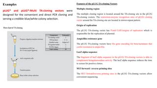 Strategies for cloning PCR products: TA cloning, Topo cloning.pdf