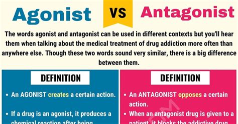 AGONIST Vs ANTAGONIST: Difference Between Antagonist Vs Agonist - 7 E S L