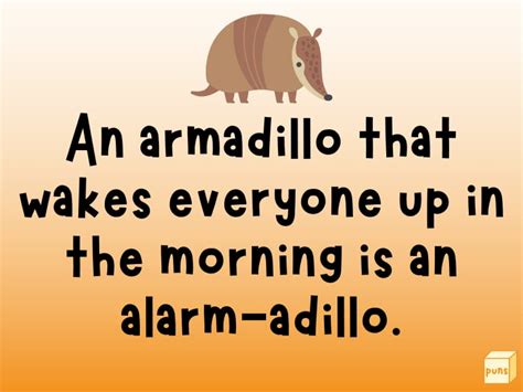 30+ Hilarious Armadillo Puns That’ll Make You LOL - Box of Puns