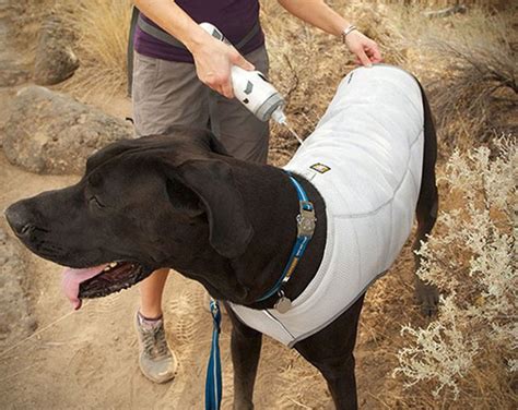 Dog Cooling Vest