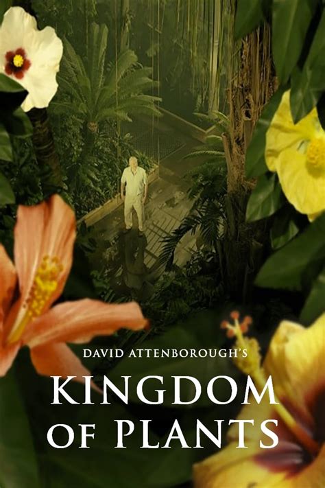 Kingdom of Plants (TV Series 2012-2012) - Posters — The Movie Database (TMDB)