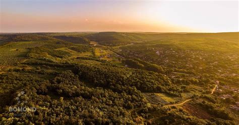 Moldova, Farmland, Vineyard, Mountains, Natural Landmarks, Nature, Travel, Outdoor, Outdoors