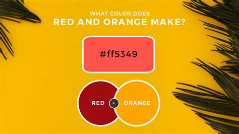 Red and Orange Mixed! What Color Do Orange and Red Make?