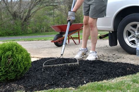 Mulch Installation Service Clarence - Soil and Seed Landscaping