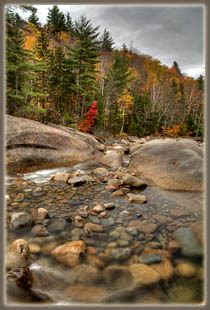 Franconia Falls and Lincoln Woods Trail, New Hampshire