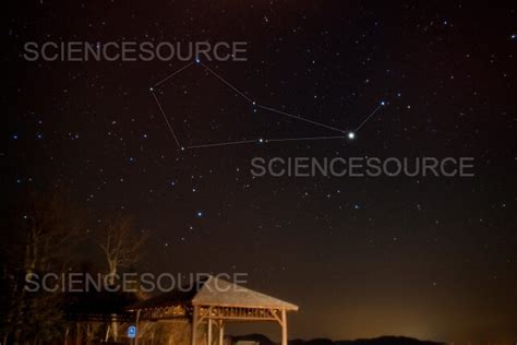 Photograph | Bootes Constellation | Science Source Images