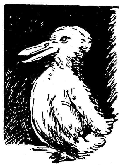 Jastrow Duck Rabbit | Optical illusion drawing, Illusions, Optical ...