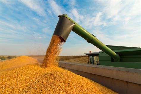 Fundamentals, trade fights help hold canola rangebound - Manitoba Co ...