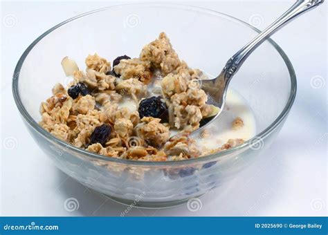 Granola cereal in bowl stock photo. Image of raisins, bowl - 2025690