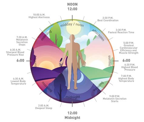 PERFEKTLIGHT: Finding the Connection Between Tunable White and Circadian Lighting - LEDdynamics