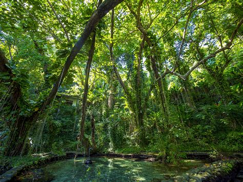 Blue Lagoon | Jamaica Attractions - Lonely Planet