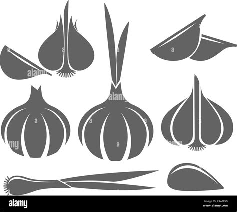 Garlic flavouring Stock Vector Images - Alamy