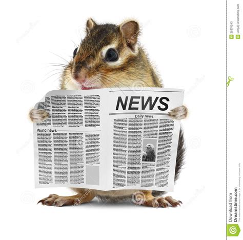 Funny Chipmunk Read Newspaper Stock Image - Image of creative ...