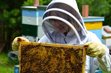 Honey Farms Worth Visiting This Summer | Reader's Digest Canada