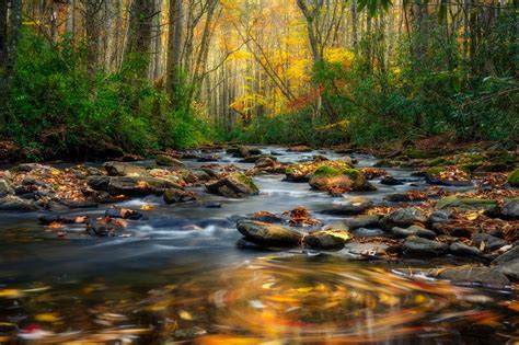 Fall in Great Smoky Mountains National Park, North Carolina [OC ...