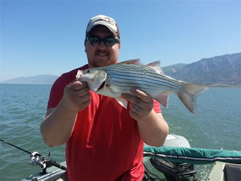 Willard Bay Fishing Report - June 5 - Smith and Edwards Blog