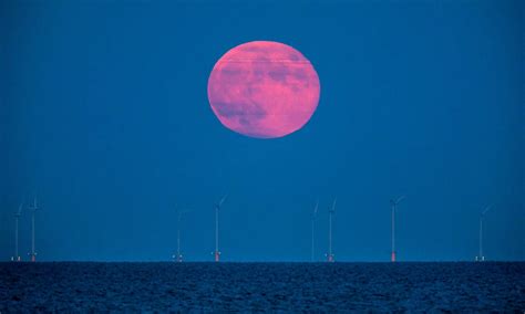 Strawberry Moon 2019: Best photos of last night's Full Moon from around the world - Mirror Online