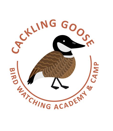 Cackling Goose - Bird Watching Academy