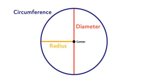 Calculadora de circunferencia de un círculo + guía (y fórmula para encontrarla) | Home Security