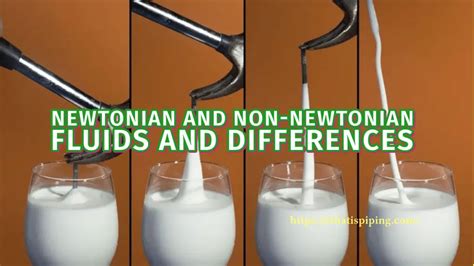 What are Newtonian and Non-Newtonian Fluids and What are the Differences? – What Is Piping