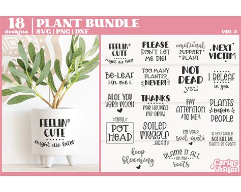 Funny Plant SVG Bundle Planter Quote Bundle Funny Plant - Etsy Australia