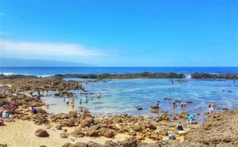 Shark's Cove Snorkeling Rental Prices 2017 :: north shore snorkeling. oahu hawaii.