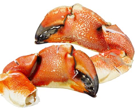 Buy Cooked Crab Claws 1kg Online at the Best Price, Free UK Delivery - Bradley's Fish