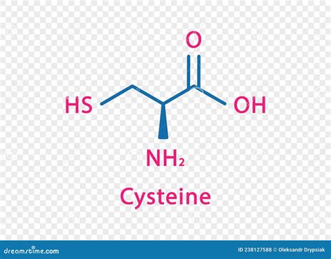 Cysteine Chemical Structure. Vector Illustration Hand Drawn ...