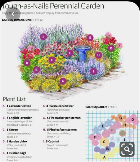 Perennial Flower Garden Design Layout - Image to u