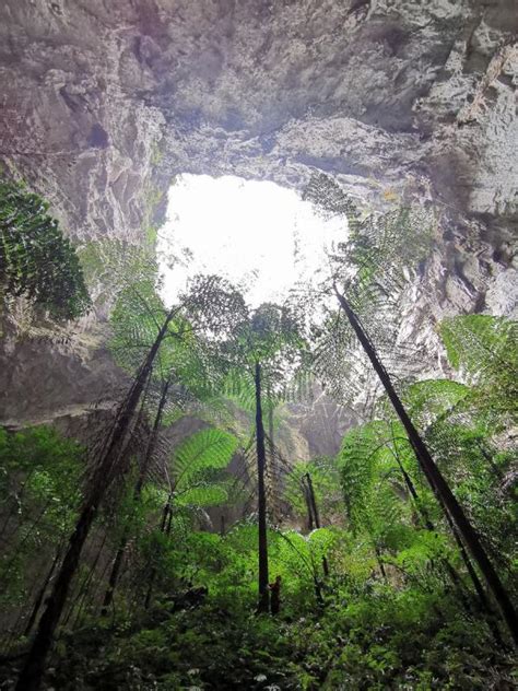 Scientists discover giant karst sinkhole cluster in China