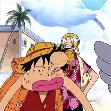 luffy and sanji | Anime, One piece anime, Luffy