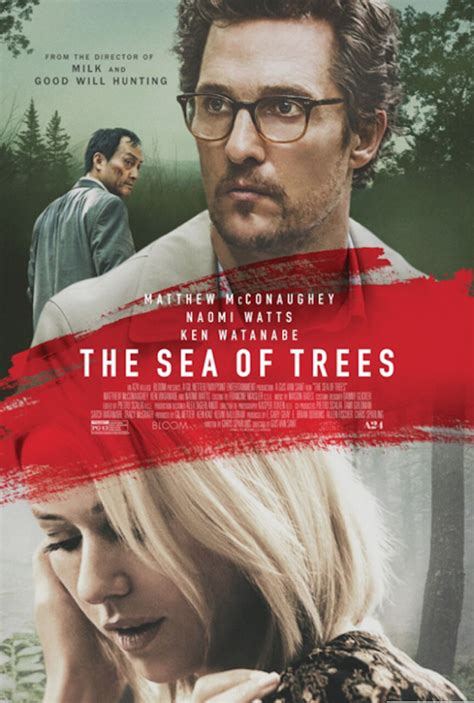 Throwback Thursday: A Journey Into The Sea Of Trees - Mike Sirota