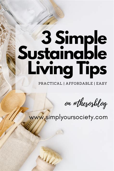 3 Simple Sustainable Living Tips