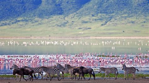 Eight Fascinating Facts About The Ngorongoro Crater