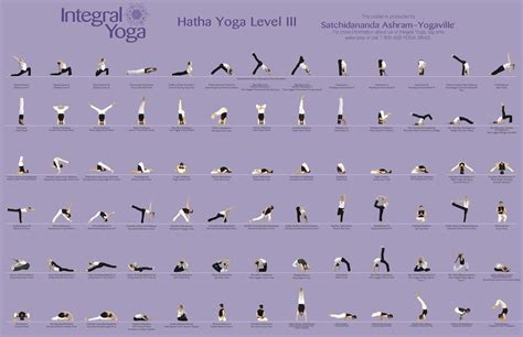 Hatha Yoga III Sequence | Integral yoga, Hatha yoga, Hatha