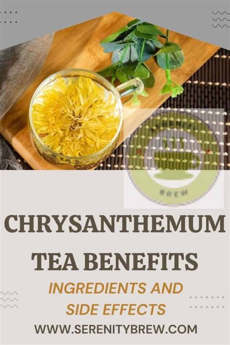 Chrysanthemum Tea Benefits: Ingredients and Side Effects - Serenity Brew